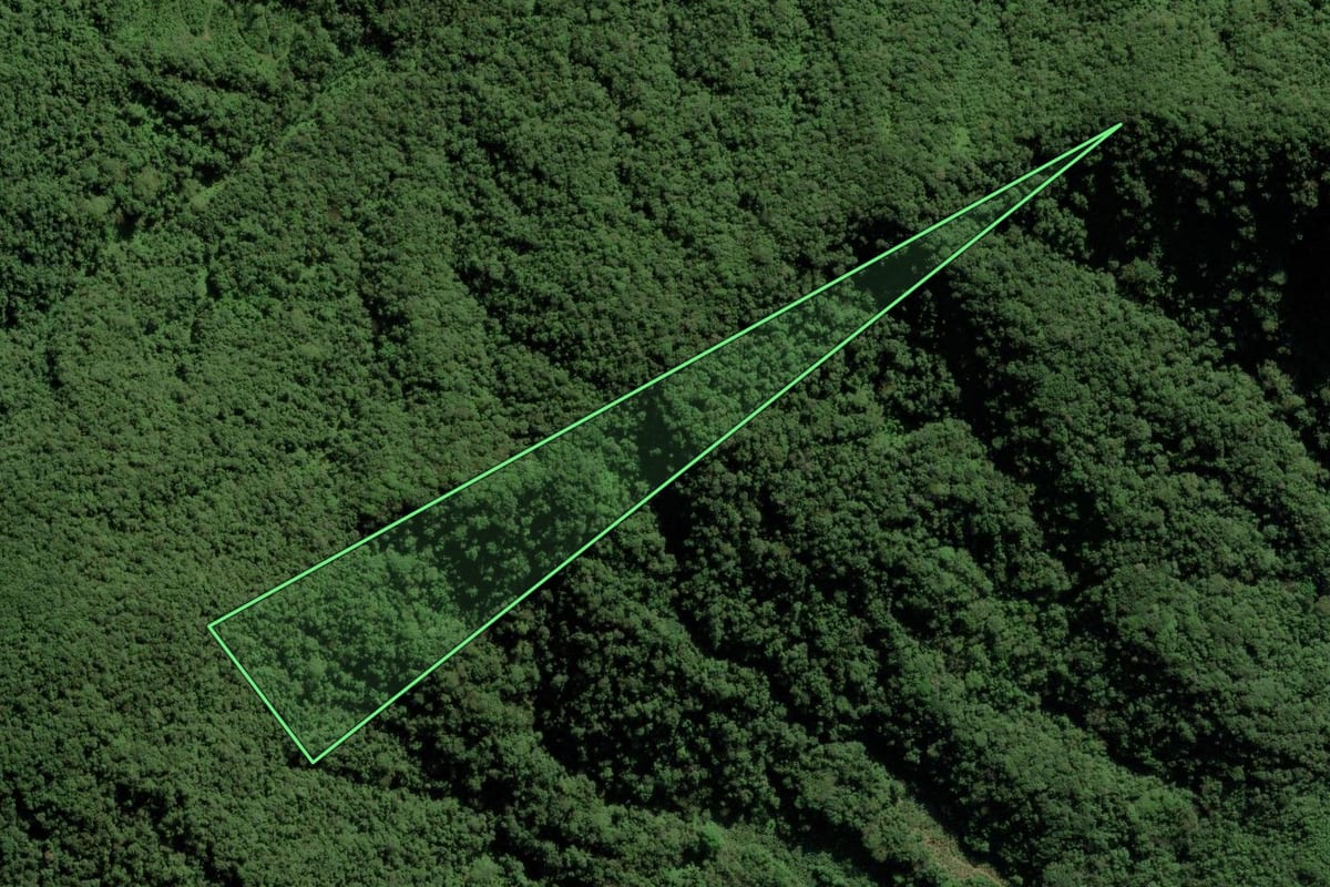 Imagem de satélite do imóvel rural em Joinville (SC), com o contorno declarado no CAR desenhado por cima.