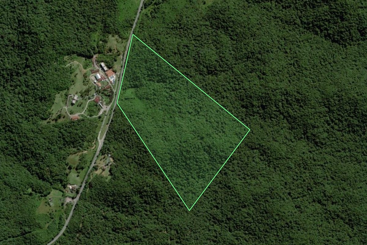Imagem de satélite do imóvel rural em Joinville (SC), com o contorno declarado no CAR desenhado por cima.