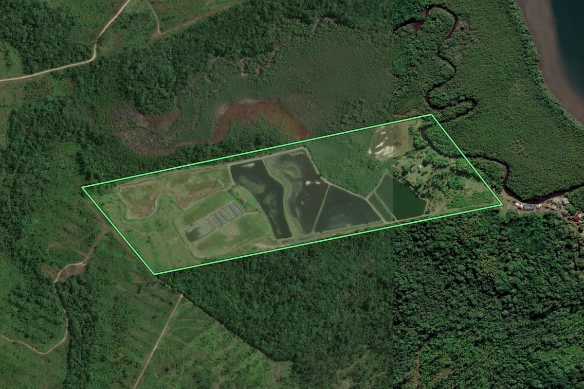 Imagem de satélite do imóvel rural em Joinville (SC), com o contorno declarado no CAR desenhado por cima.