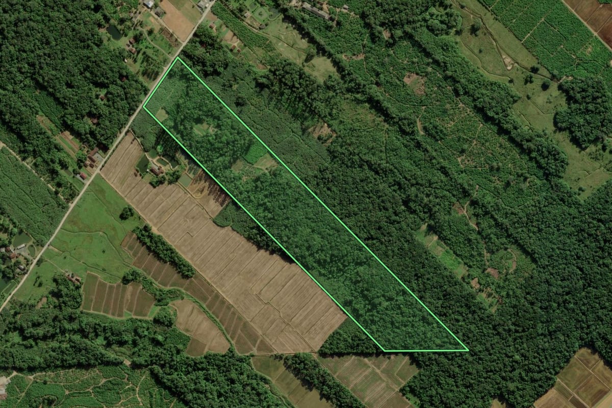 Imagem de satélite do imóvel rural em Joinville (SC), com o contorno declarado no CAR desenhado por cima.