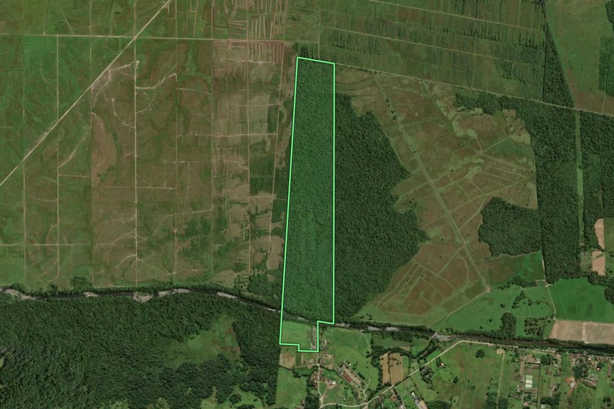 Imagem de satélite do imóvel rural em Joinville (SC), com o contorno declarado no CAR desenhado por cima.