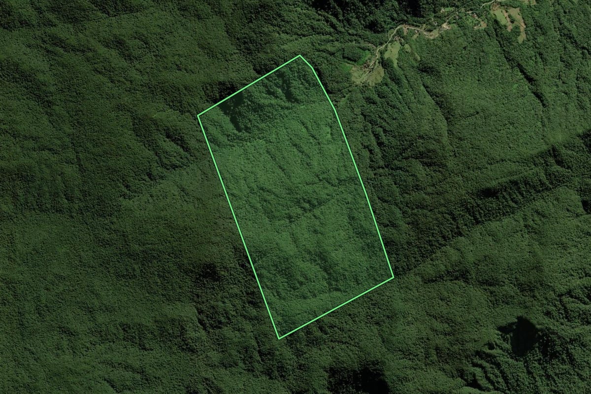 Imagem de satélite do imóvel rural em Joinville (SC), com o contorno declarado no CAR desenhado por cima.