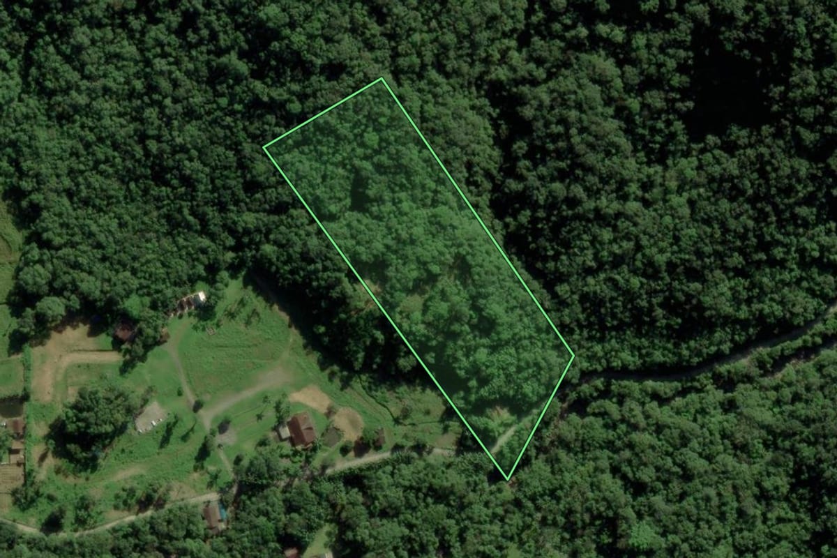 Imagem de satélite do imóvel rural em Joinville (SC), com o contorno declarado no CAR desenhado por cima.