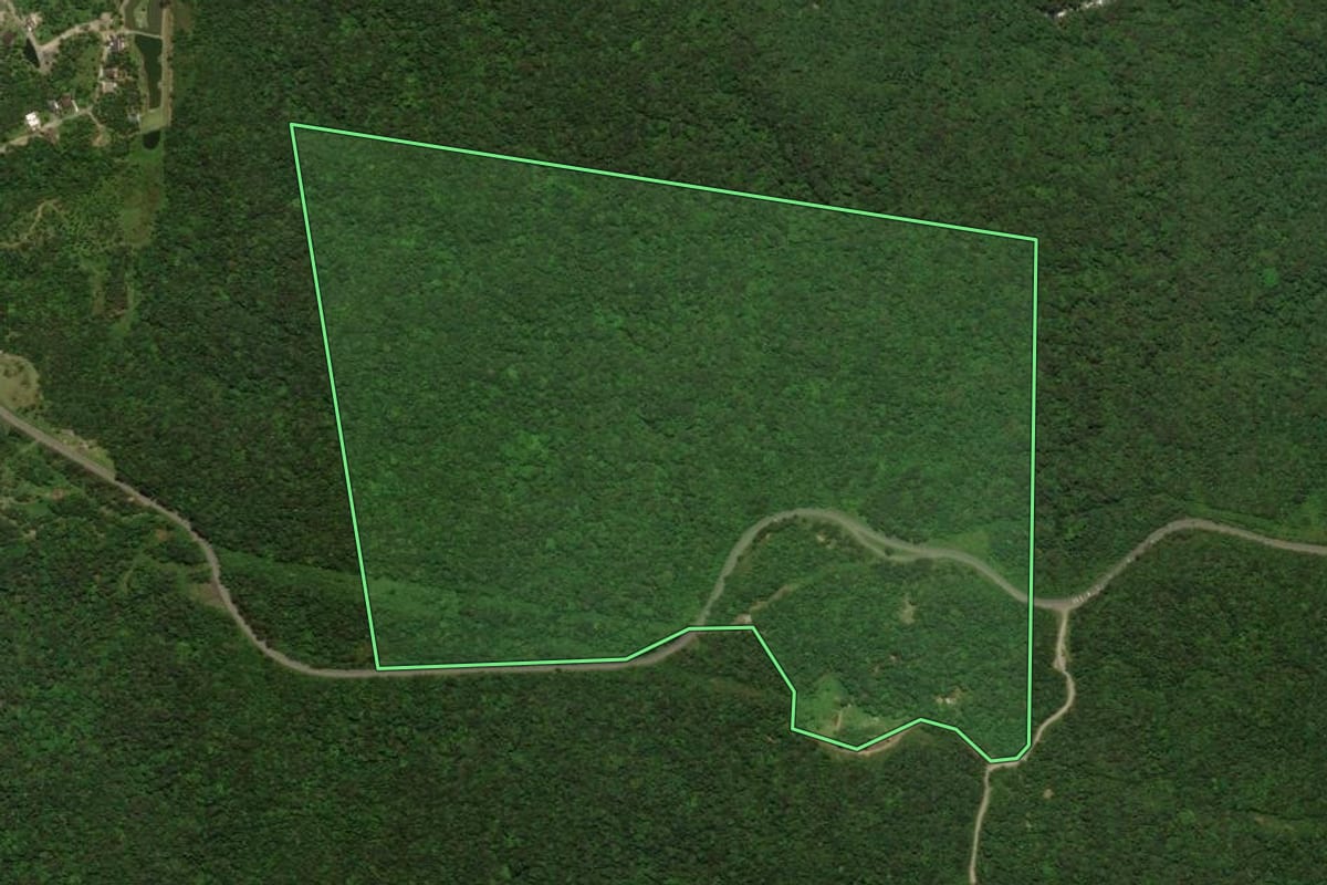 Imagem de satélite do imóvel rural em Joinville (SC), com o contorno declarado no CAR desenhado por cima.