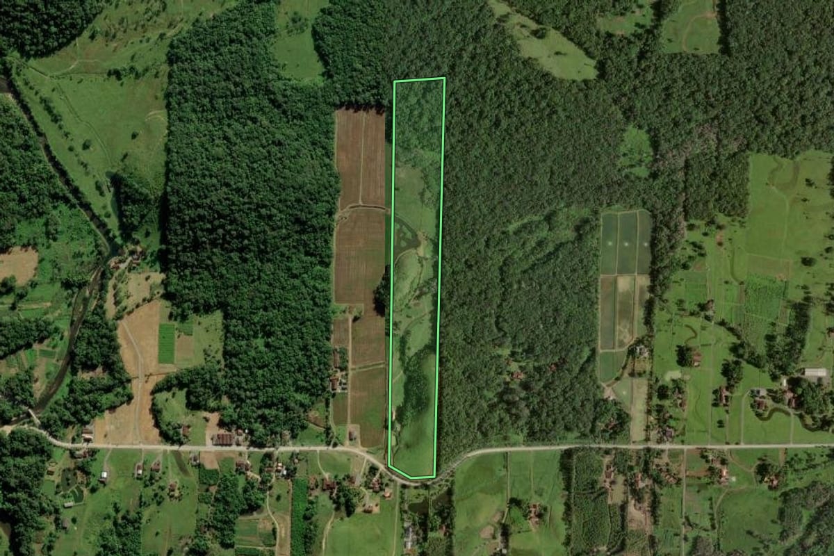 Imagem de satélite do imóvel rural em Joinville (SC), com o contorno declarado no CAR desenhado por cima.