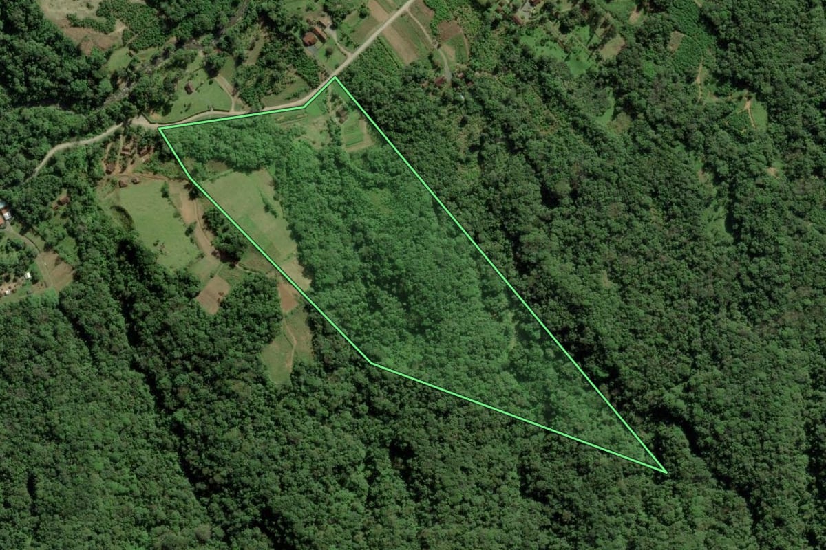 Imagem de satélite do imóvel rural em Joinville (SC), com o contorno declarado no CAR desenhado por cima.