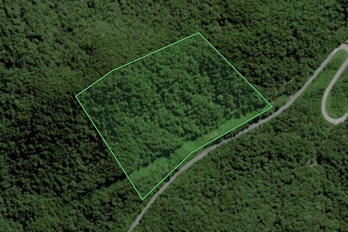 Imagem de satélite do imóvel rural em Joinville (SC), com o contorno declarado no CAR desenhado por cima.