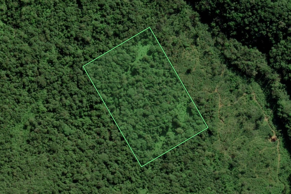 Imagem de satélite do imóvel rural em Joinville (SC), com o contorno declarado no CAR desenhado por cima.
