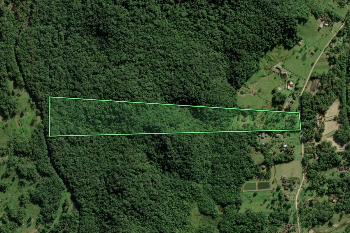 Imagem de satélite do imóvel rural em Joinville (SC), com o contorno declarado no CAR desenhado por cima.