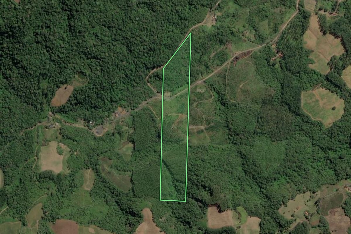 Imagem de satélite do imóvel rural em José Boiteux (SC), com o contorno declarado no CAR desenhado por cima.
