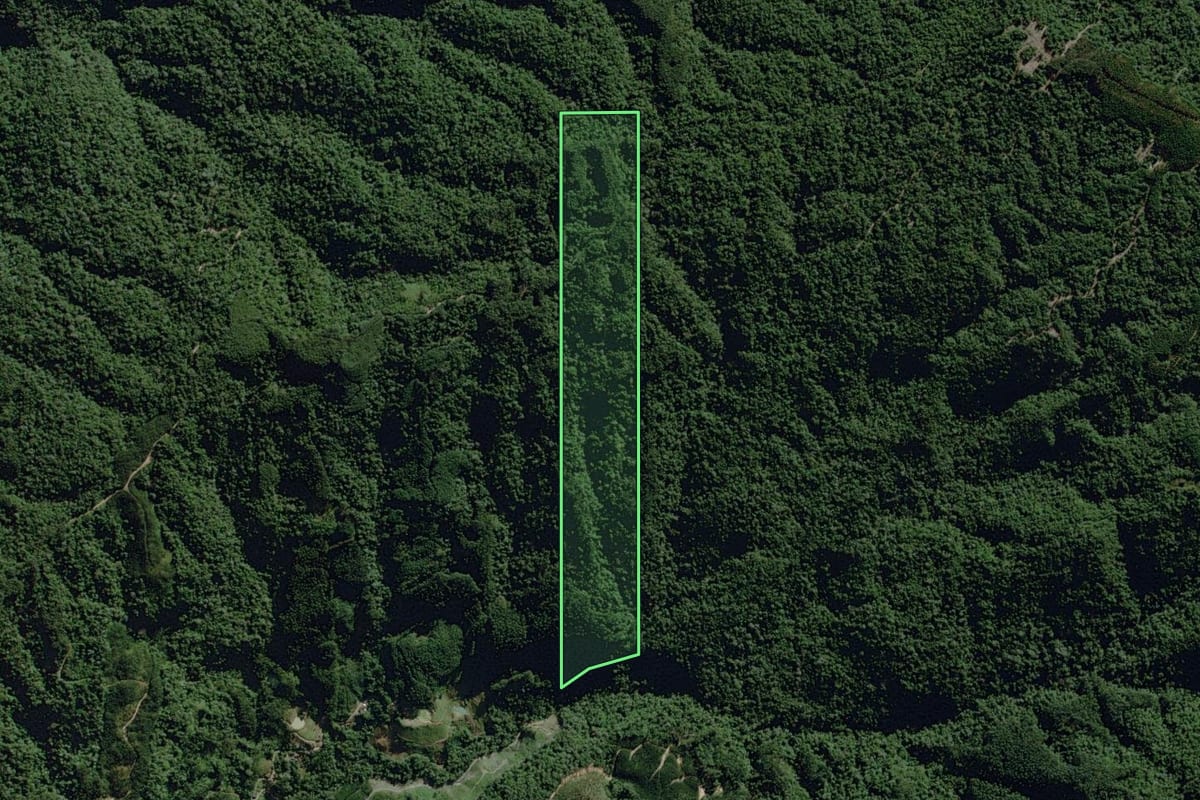 Imagem de satélite do imóvel rural em José Boiteux (SC), com o contorno declarado no CAR desenhado por cima.