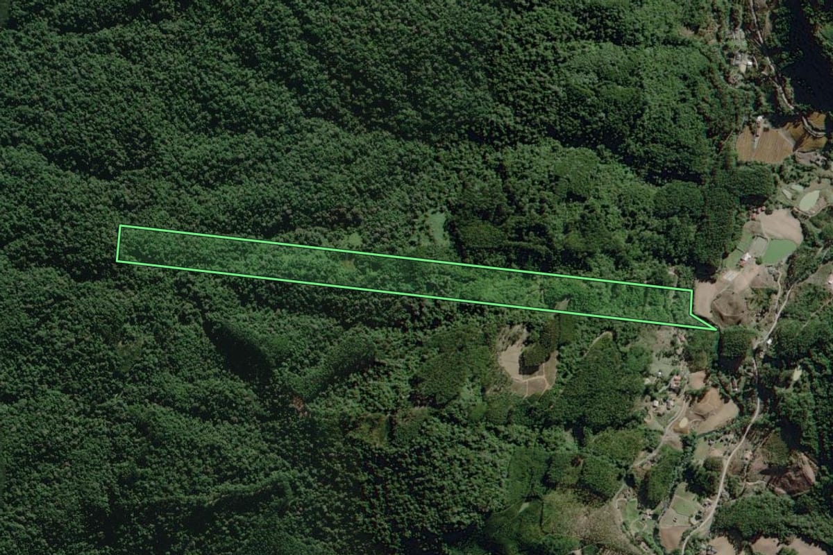 Imagem de satélite do imóvel rural em José Boiteux (SC), com o contorno declarado no CAR desenhado por cima.