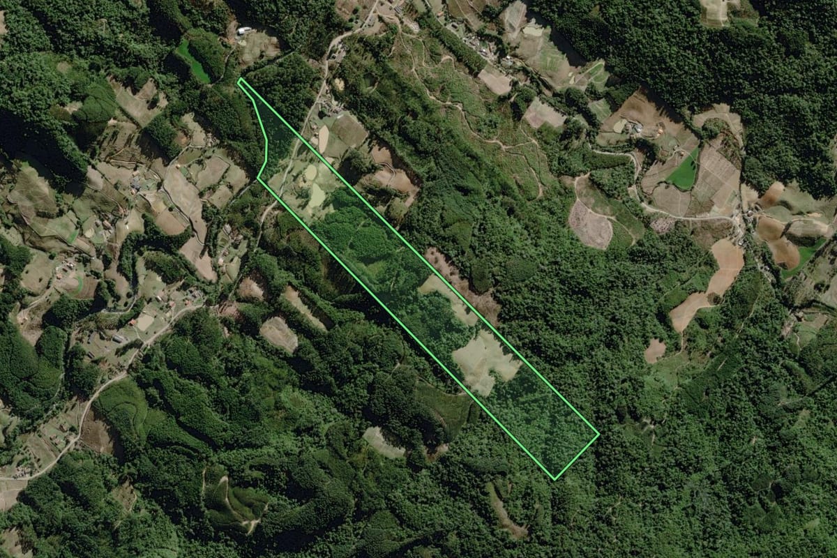 Imagem de satélite do imóvel rural em José Boiteux (SC), com o contorno declarado no CAR desenhado por cima.