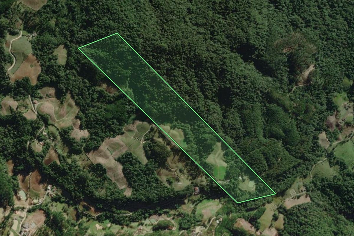 Imagem de satélite do imóvel rural em José Boiteux (SC), com o contorno declarado no CAR desenhado por cima.