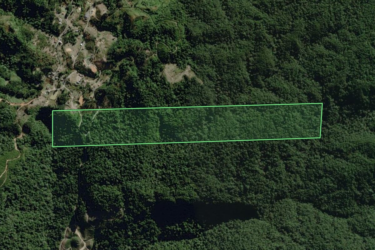Imagem de satélite do imóvel rural em José Boiteux (SC), com o contorno declarado no CAR desenhado por cima.