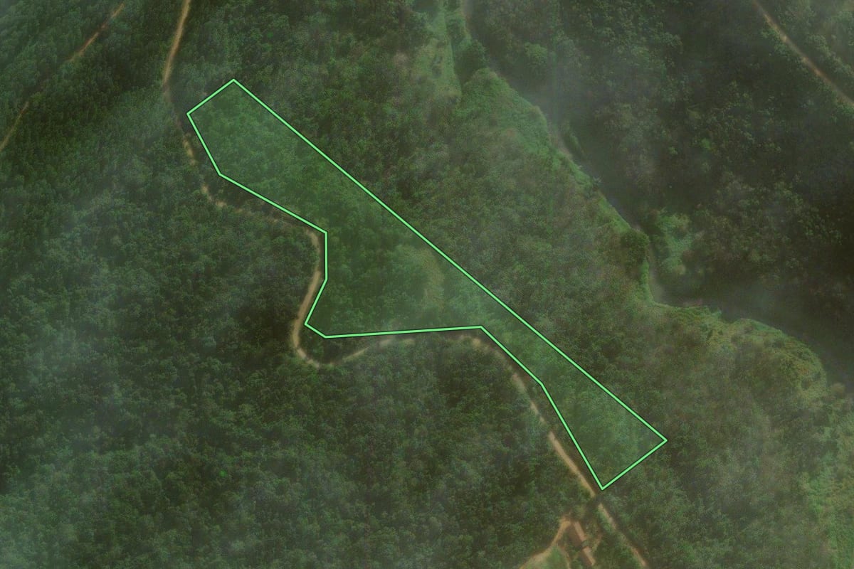 Imagem de satélite do imóvel rural em José Boiteux (SC), com o contorno declarado no CAR desenhado por cima.