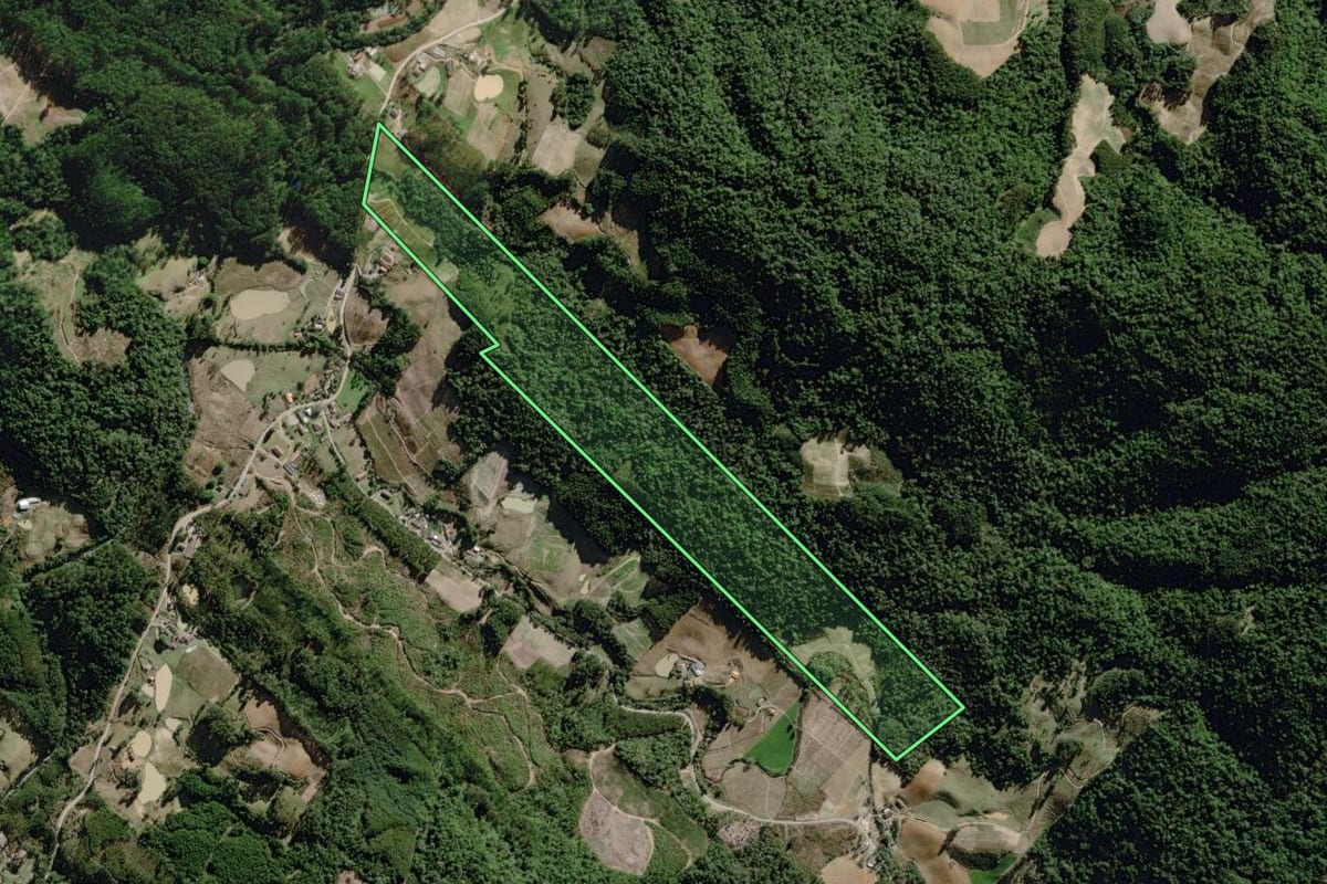 Imagem de satélite do imóvel rural em José Boiteux (SC), com o contorno declarado no CAR desenhado por cima.
