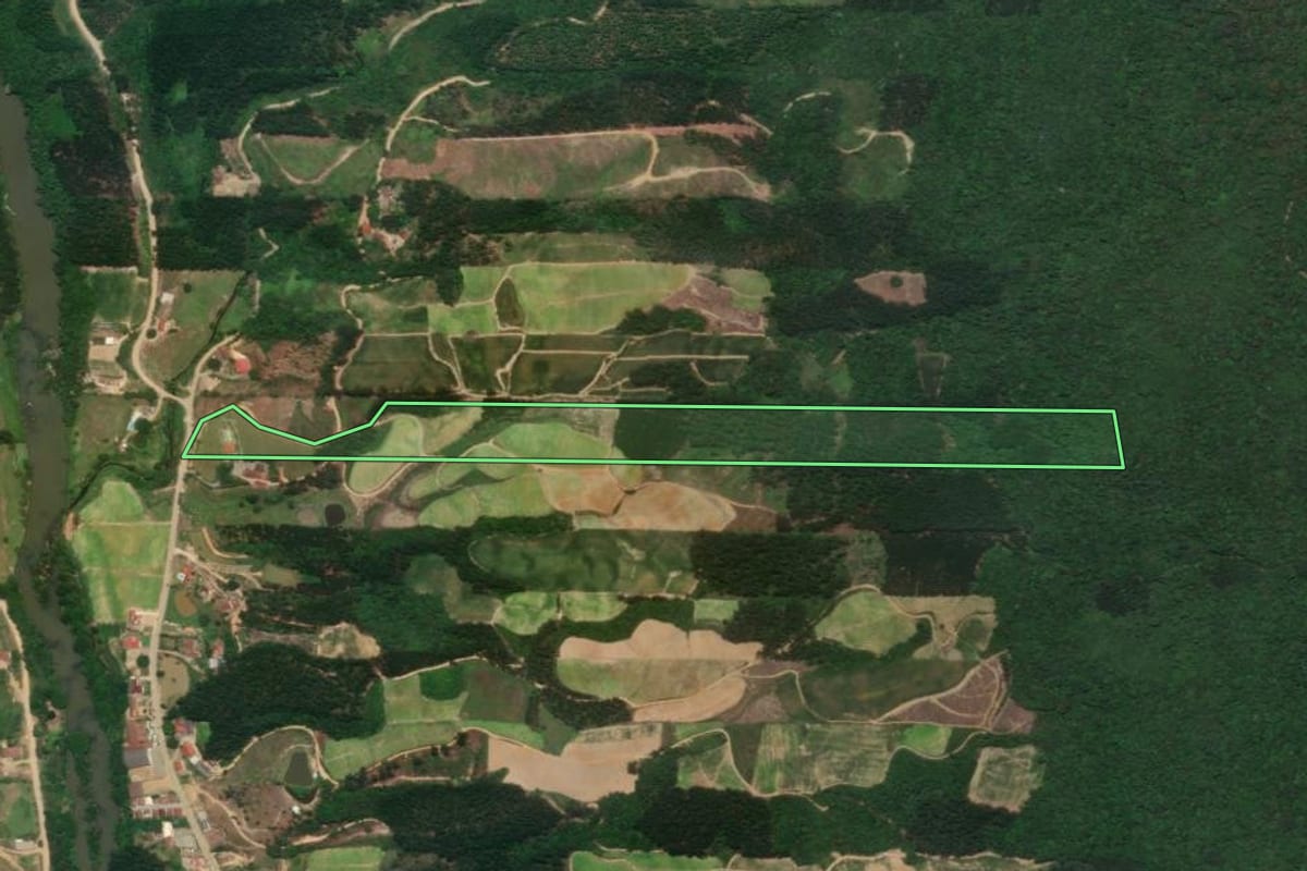 Imagem de satélite do imóvel rural em José Boiteux (SC), com o contorno declarado no CAR desenhado por cima.