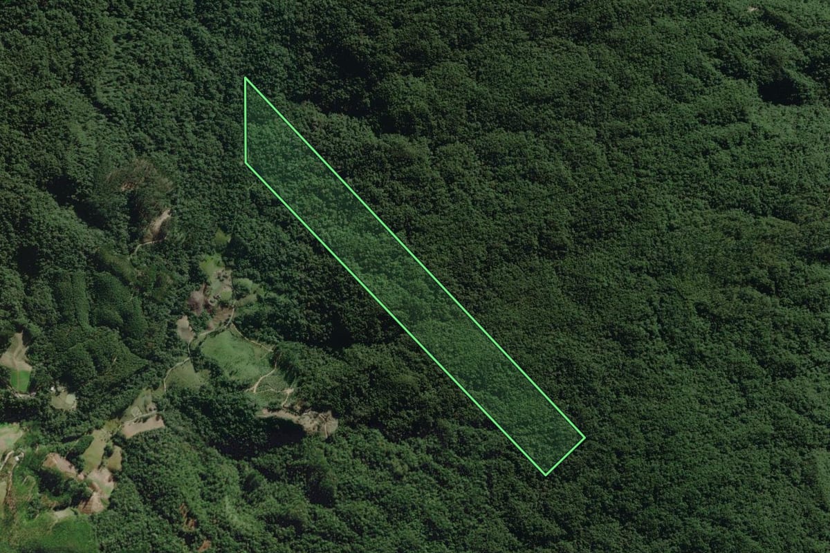 Imagem de satélite do imóvel rural em José Boiteux (SC), com o contorno declarado no CAR desenhado por cima.