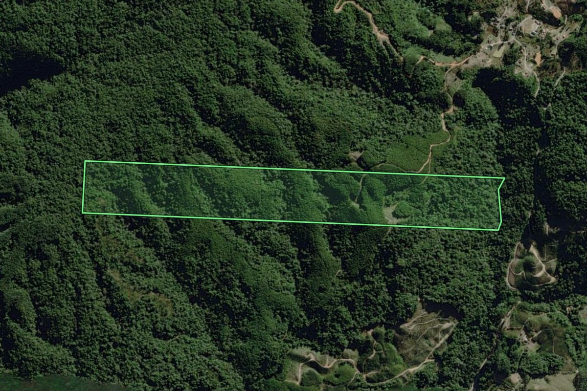 Imagem de satélite do imóvel rural em José Boiteux (SC), com o contorno declarado no CAR desenhado por cima.