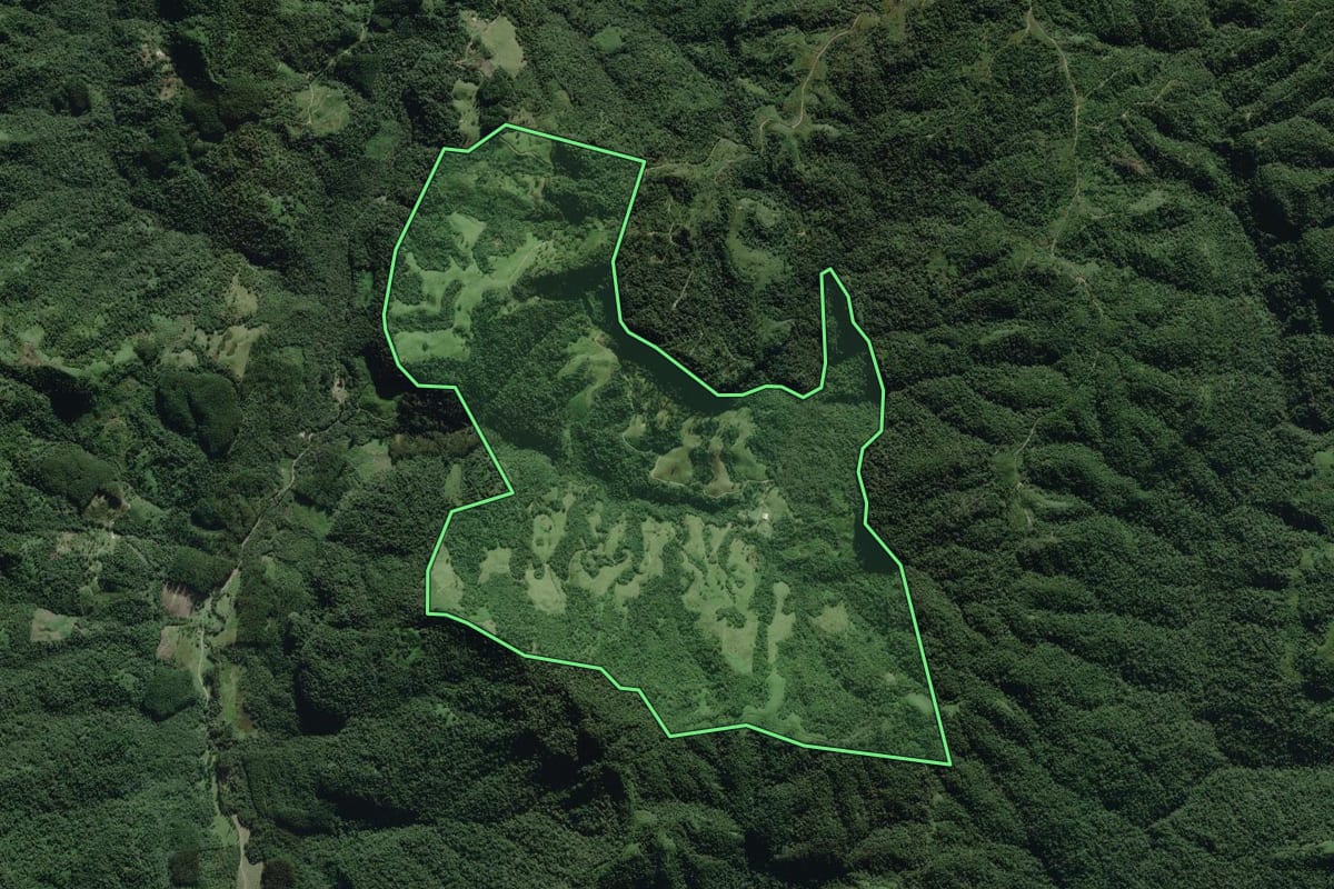 Imagem de satélite do imóvel rural em José Boiteux (SC), com o contorno declarado no CAR desenhado por cima.