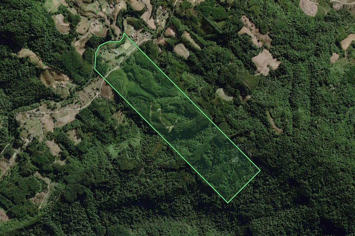 Imagem de satélite do imóvel rural em José Boiteux (SC), com o contorno declarado no CAR desenhado por cima.