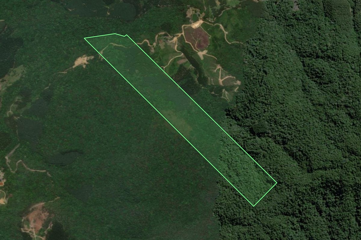 Imagem de satélite do imóvel rural em José Boiteux (SC), com o contorno declarado no CAR desenhado por cima.