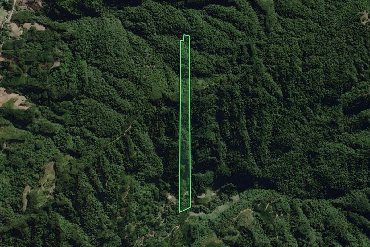Imagem de satélite do imóvel rural em José Boiteux (SC), com o contorno declarado no CAR desenhado por cima.