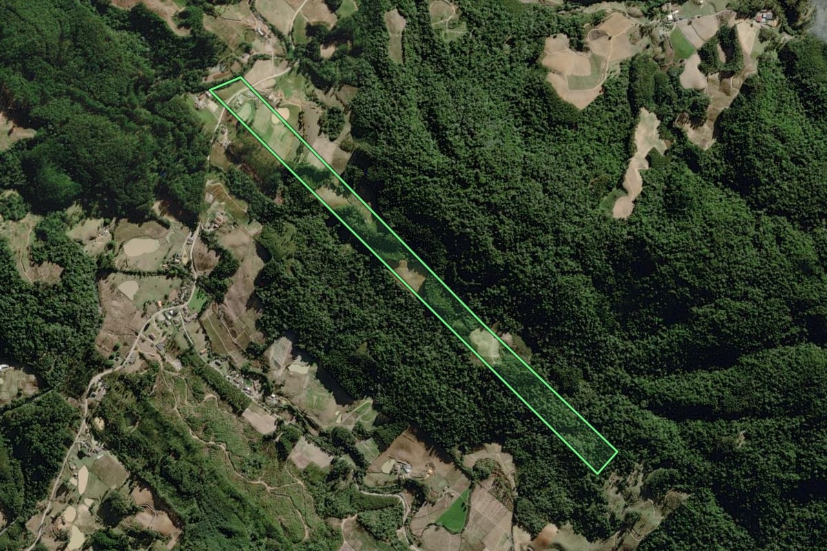 Imagem de satélite do imóvel rural em José Boiteux (SC), com o contorno declarado no CAR desenhado por cima.