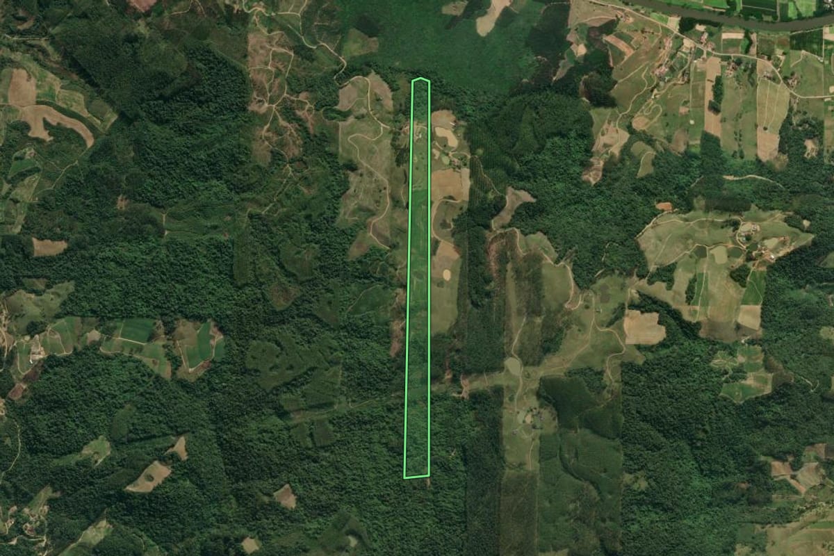 Imagem de satélite do imóvel rural em José Boiteux (SC), com o contorno declarado no CAR desenhado por cima.