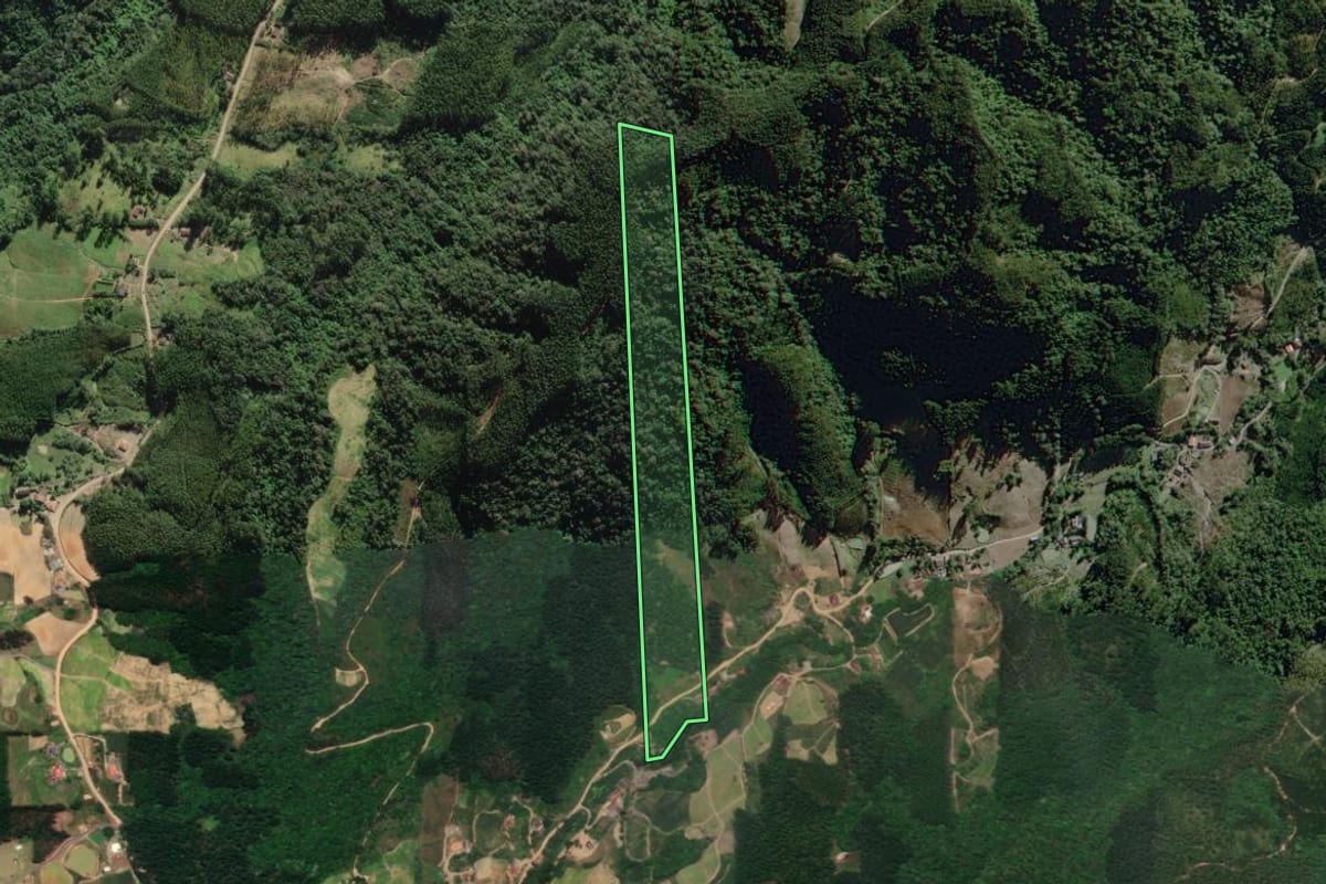 Imagem de satélite do imóvel rural em José Boiteux (SC), com o contorno declarado no CAR desenhado por cima.