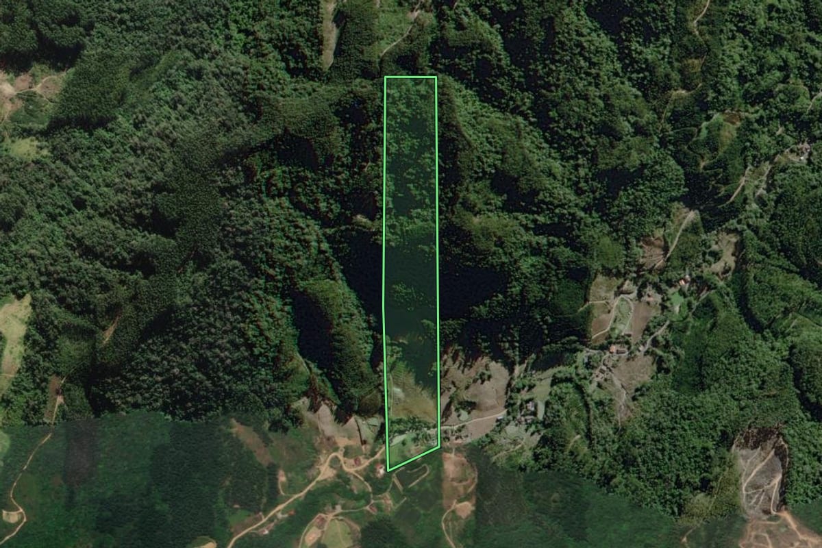 Imagem de satélite do imóvel rural em José Boiteux (SC), com o contorno declarado no CAR desenhado por cima.