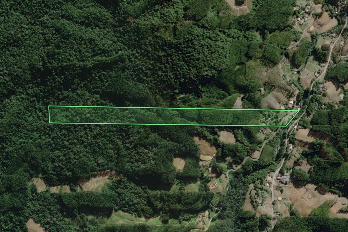 Imagem de satélite do imóvel rural em José Boiteux (SC), com o contorno declarado no CAR desenhado por cima.