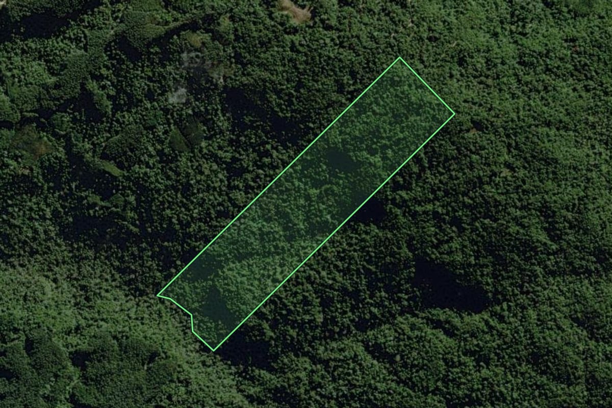 Imagem de satélite do imóvel rural em José Boiteux (SC), com o contorno declarado no CAR desenhado por cima.