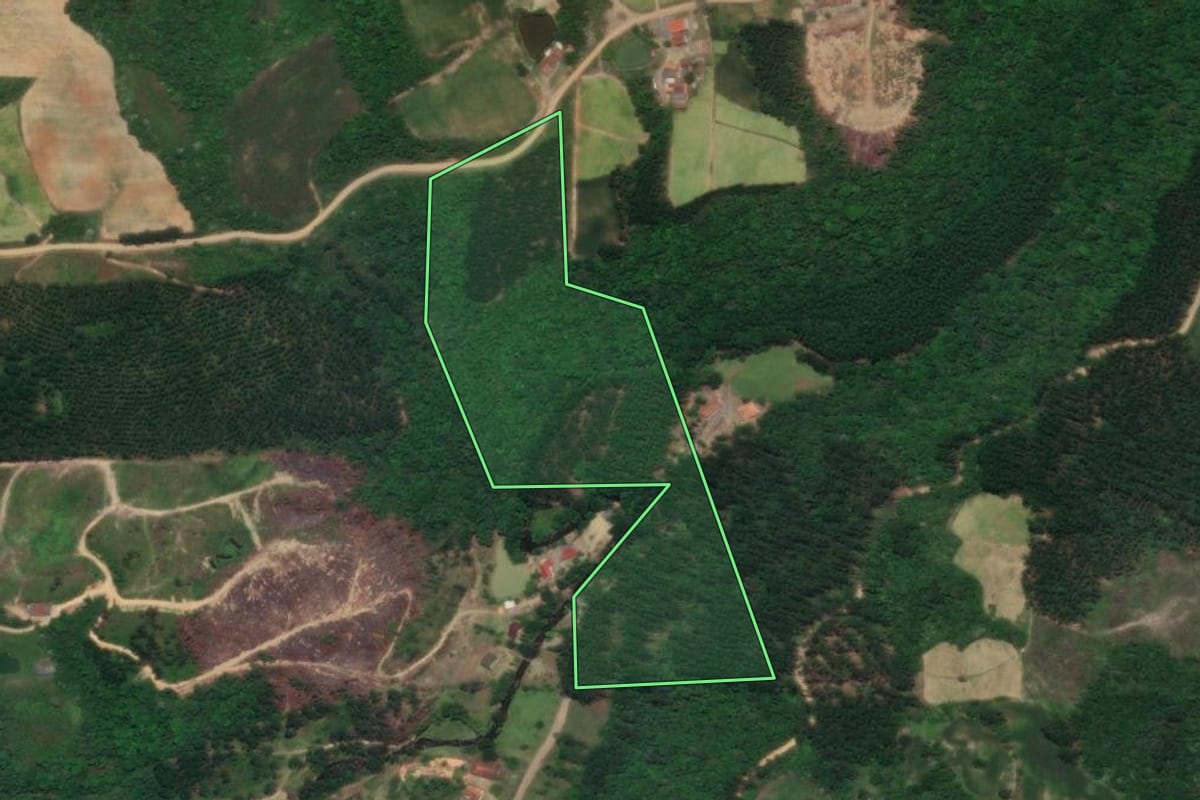 Imagem de satélite do imóvel rural em José Boiteux (SC), com o contorno declarado no CAR desenhado por cima.