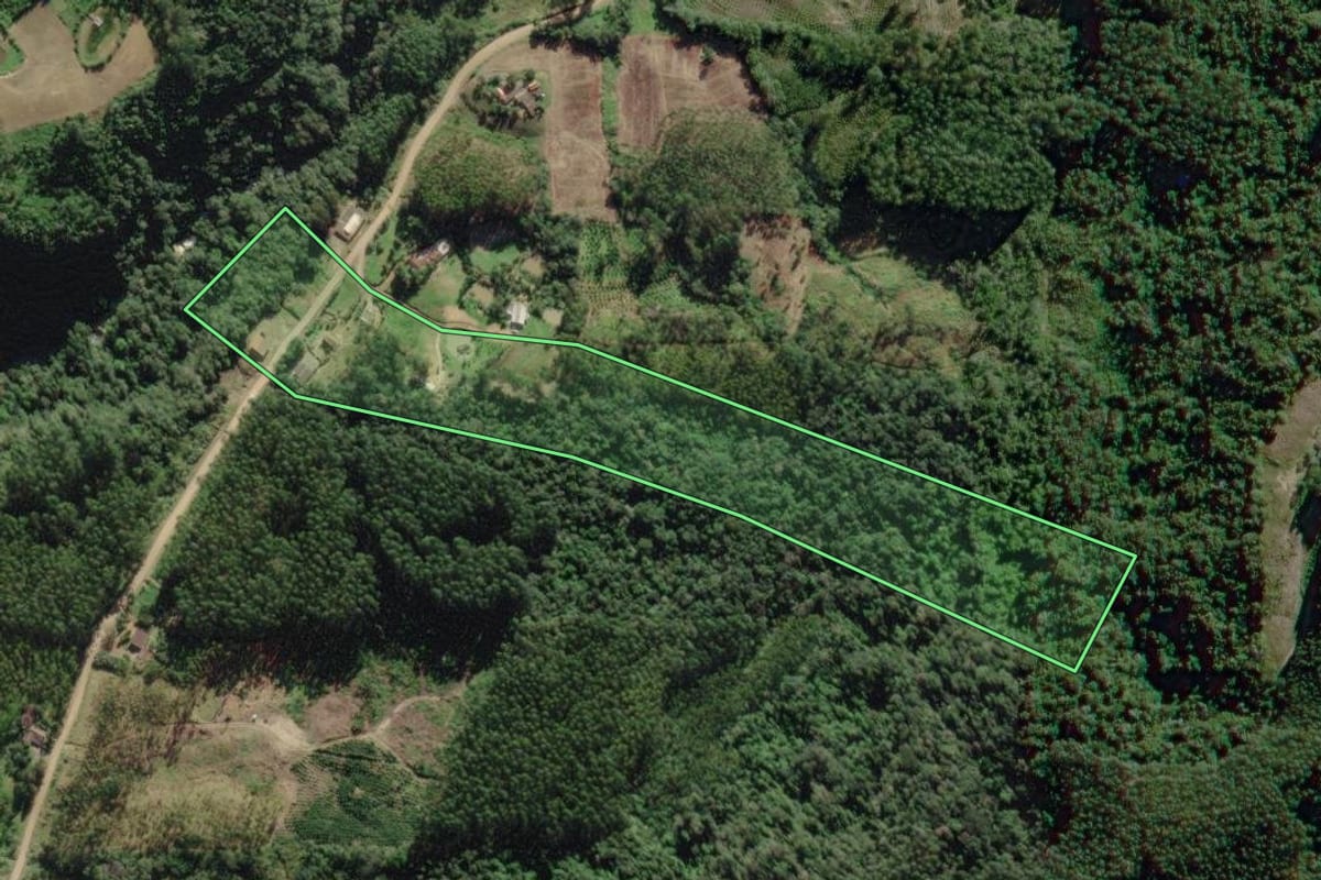 Imagem de satélite do imóvel rural em José Boiteux (SC), com o contorno declarado no CAR desenhado por cima.