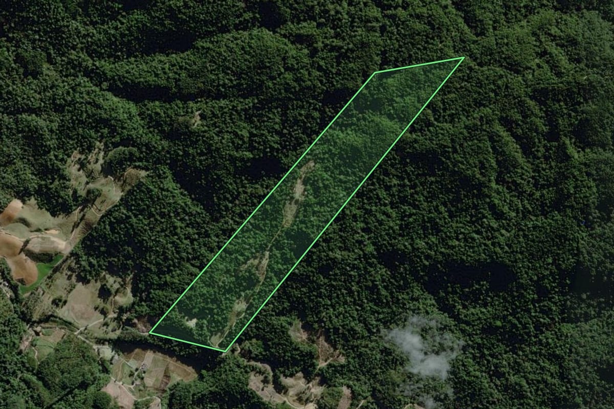 Imagem de satélite do imóvel rural em José Boiteux (SC), com o contorno declarado no CAR desenhado por cima.