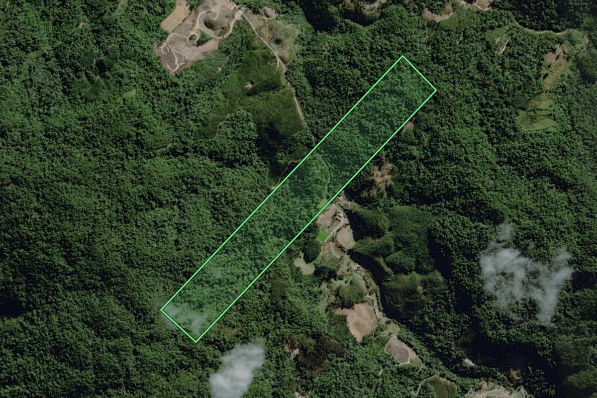 Imagem de satélite do imóvel rural em José Boiteux (SC), com o contorno declarado no CAR desenhado por cima.