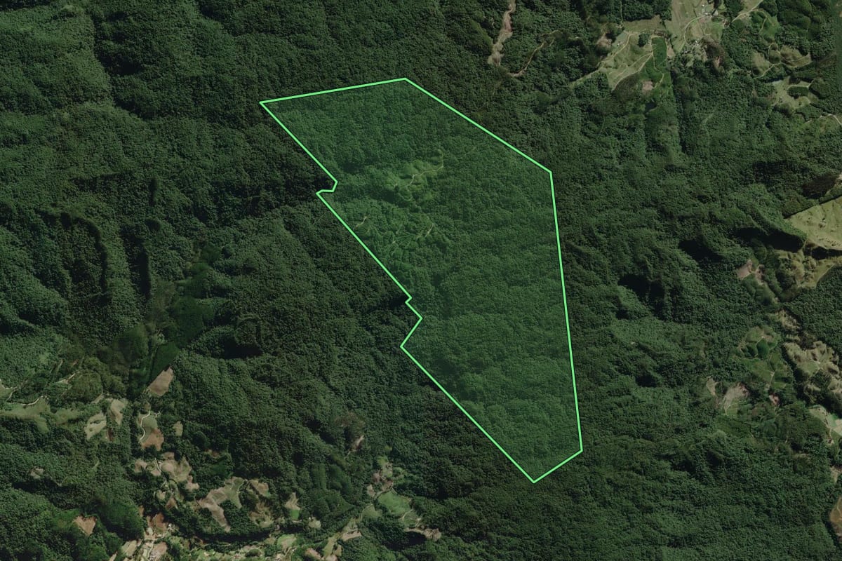 Imagem de satélite do imóvel rural em José Boiteux (SC), com o contorno declarado no CAR desenhado por cima.