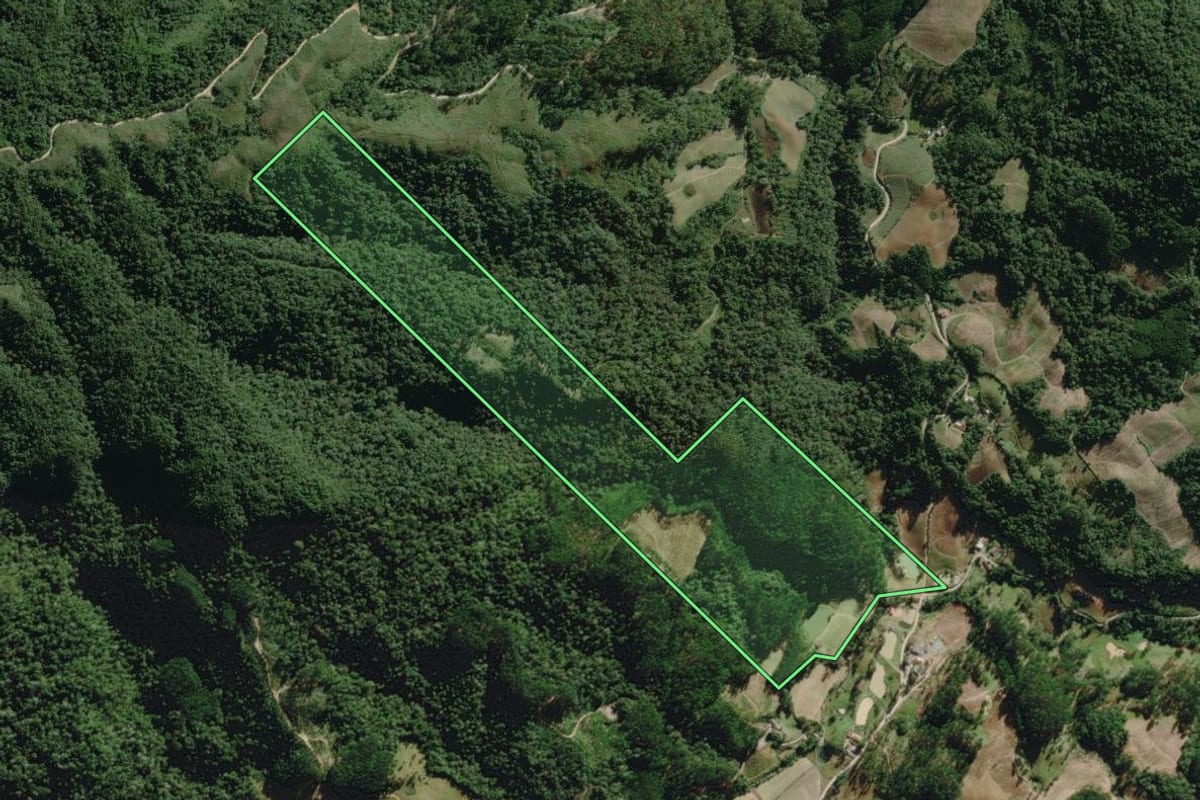 Imagem de satélite do imóvel rural em José Boiteux (SC), com o contorno declarado no CAR desenhado por cima.