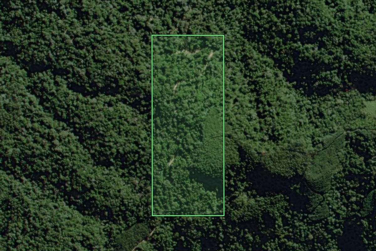 Imagem de satélite do imóvel rural em José Boiteux (SC), com o contorno declarado no CAR desenhado por cima.