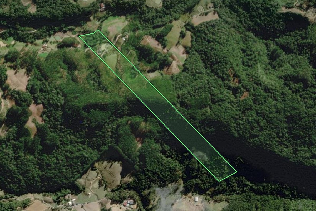 Imagem de satélite do imóvel rural em José Boiteux (SC), com o contorno declarado no CAR desenhado por cima.