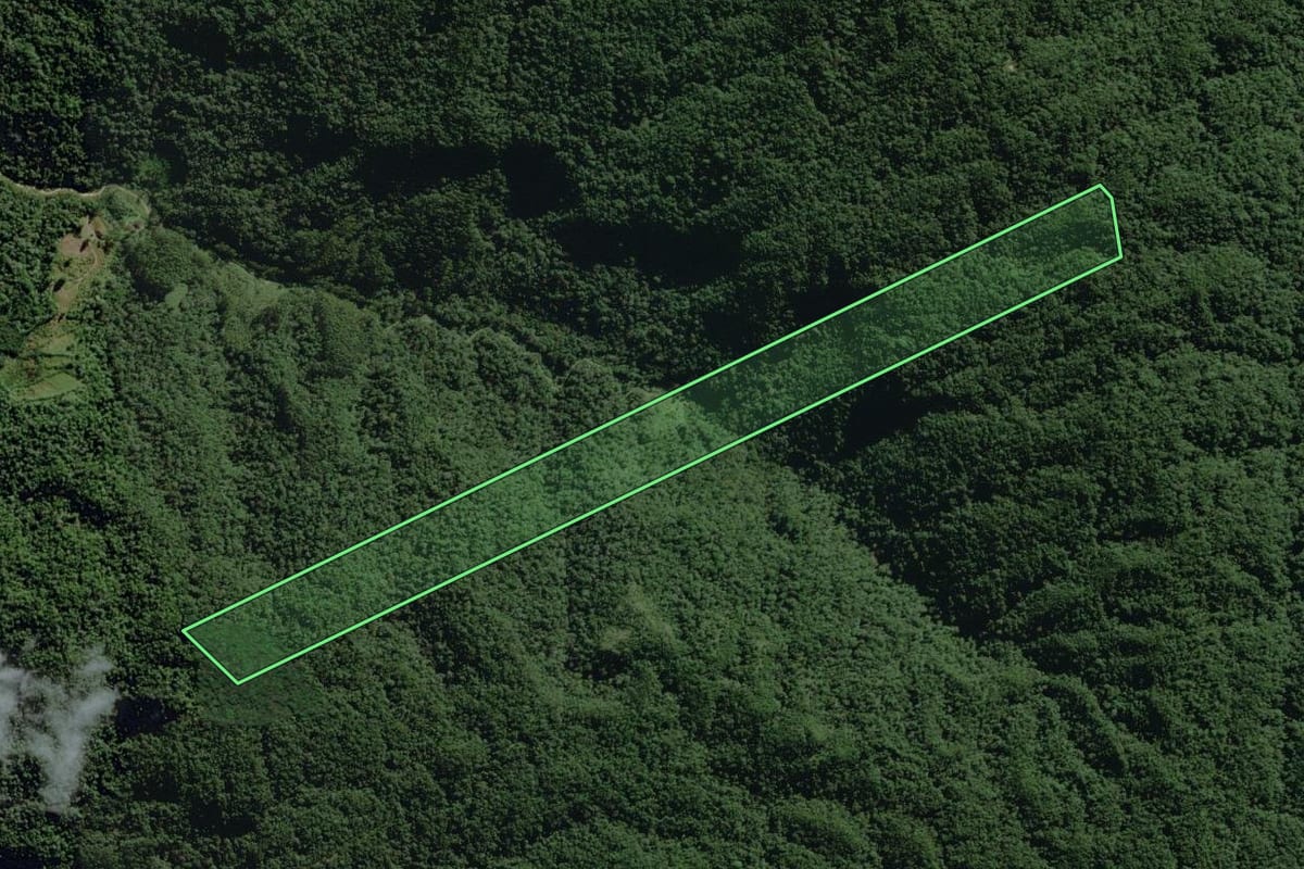 Imagem de satélite do imóvel rural em José Boiteux (SC), com o contorno declarado no CAR desenhado por cima.