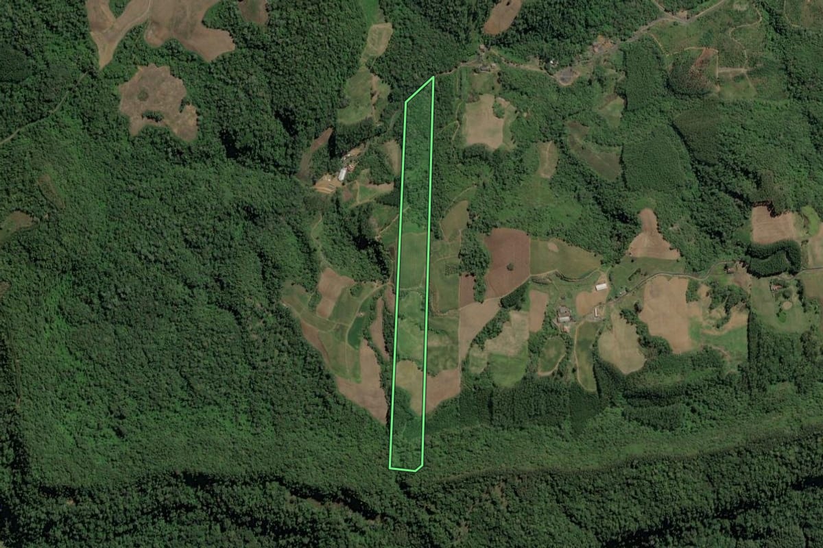 Imagem de satélite do imóvel rural em José Boiteux (SC), com o contorno declarado no CAR desenhado por cima.