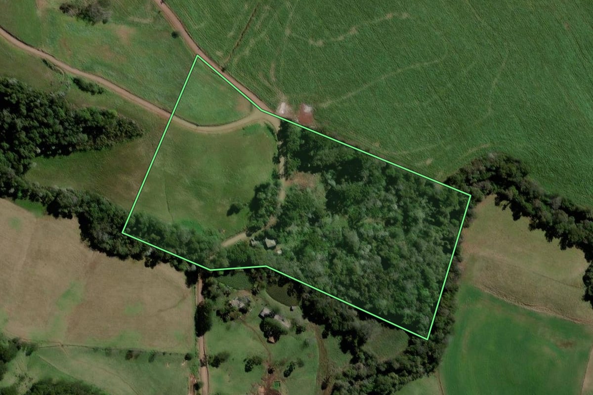 Imagem de satélite do imóvel rural em Jupiá (SC), com o contorno declarado no CAR desenhado por cima.