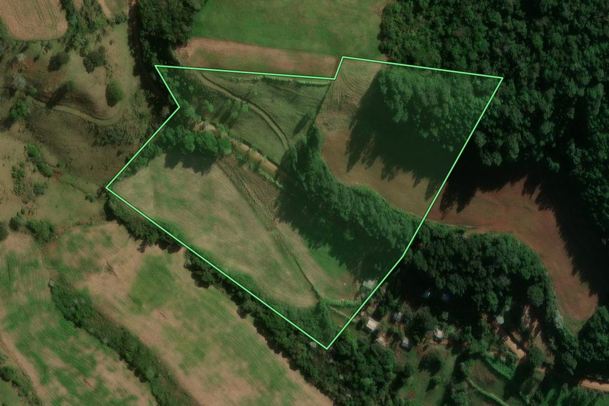 Imagem de satélite do imóvel rural em Jupiá (SC), com o contorno declarado no CAR desenhado por cima.