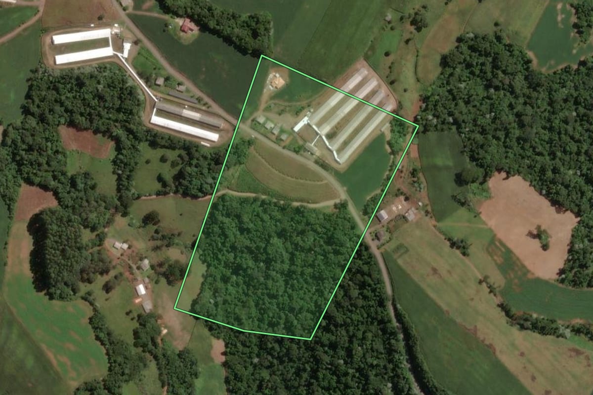 Imagem de satélite do imóvel rural em Lacerdópolis (SC), com o contorno declarado no CAR desenhado por cima.