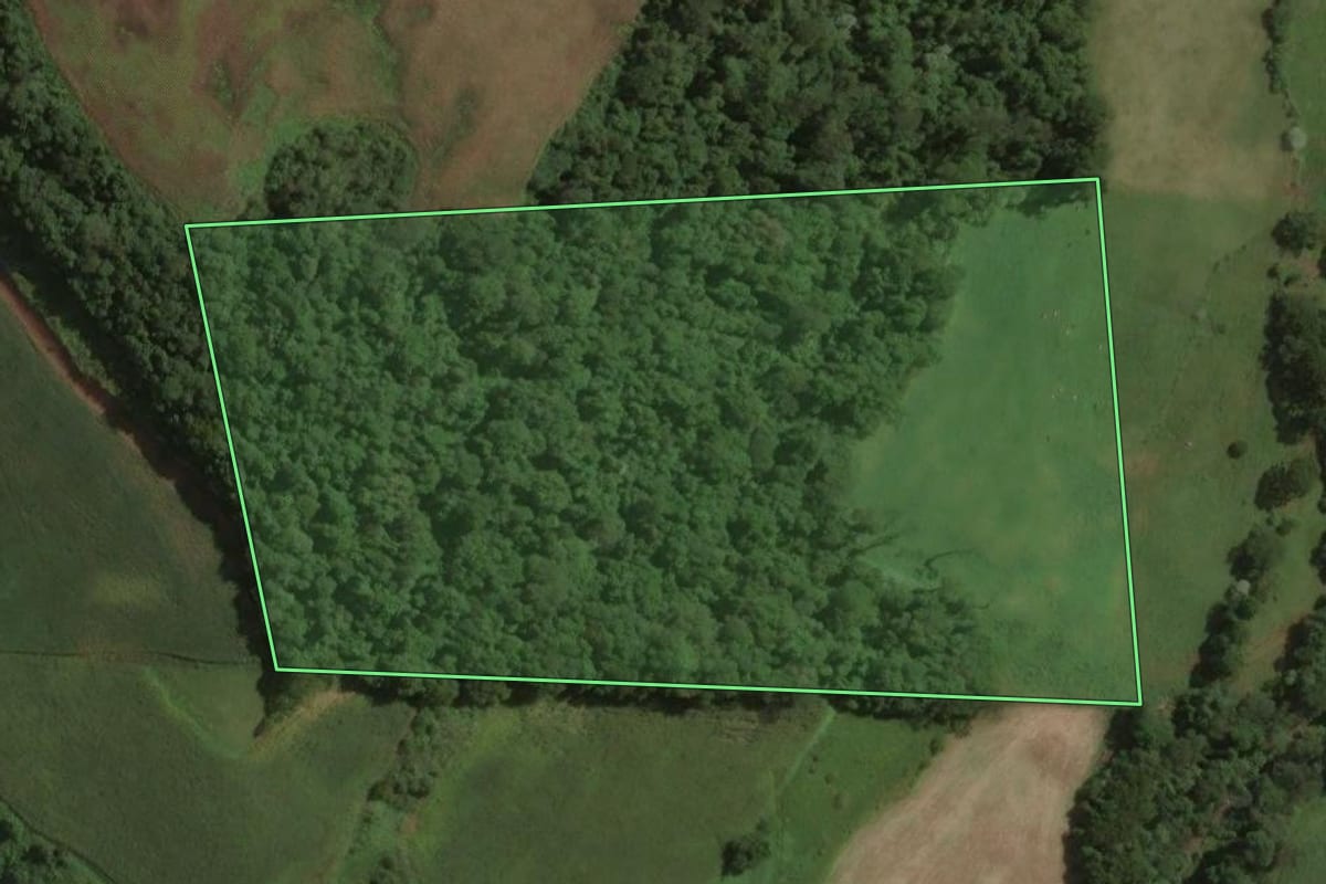 Imagem de satélite do imóvel rural em Lacerdópolis (SC), com o contorno declarado no CAR desenhado por cima.
