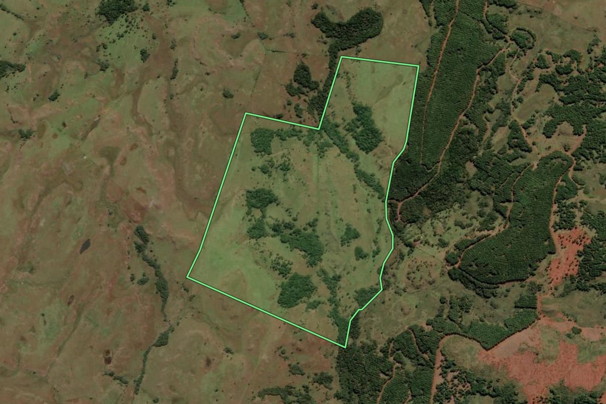 Imagem de satélite do imóvel rural em Lages (SC), com o contorno declarado no CAR desenhado por cima.