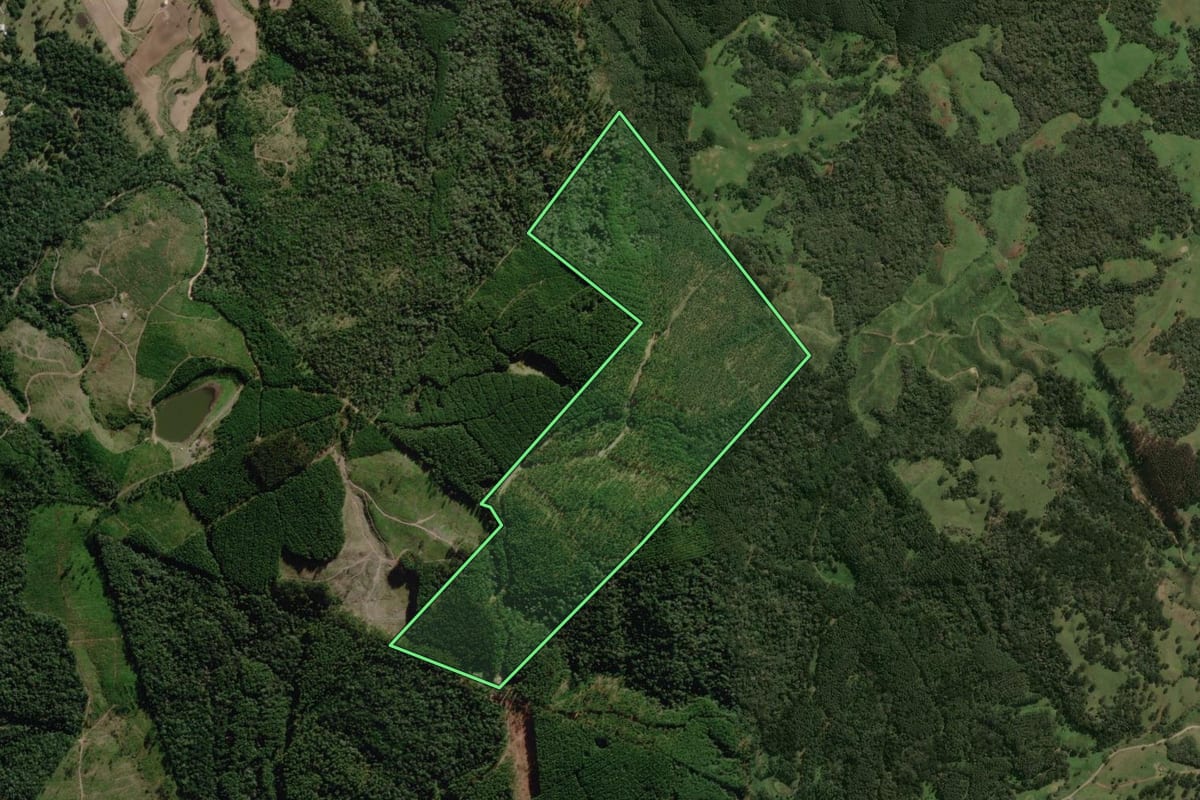 Imagem de satélite do imóvel rural em Lages (SC), com o contorno declarado no CAR desenhado por cima.